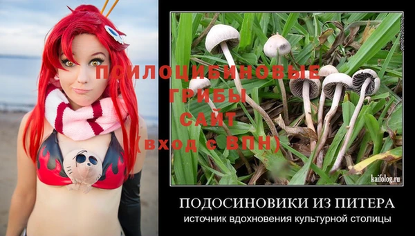 ПСИЛОЦИБИНОВЫЕ ГРИБЫ Алексин