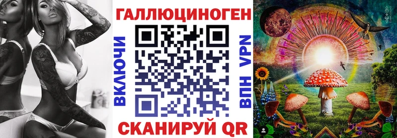 купить  цена  Весьегонск  Псилоцибиновые грибы Cubensis 